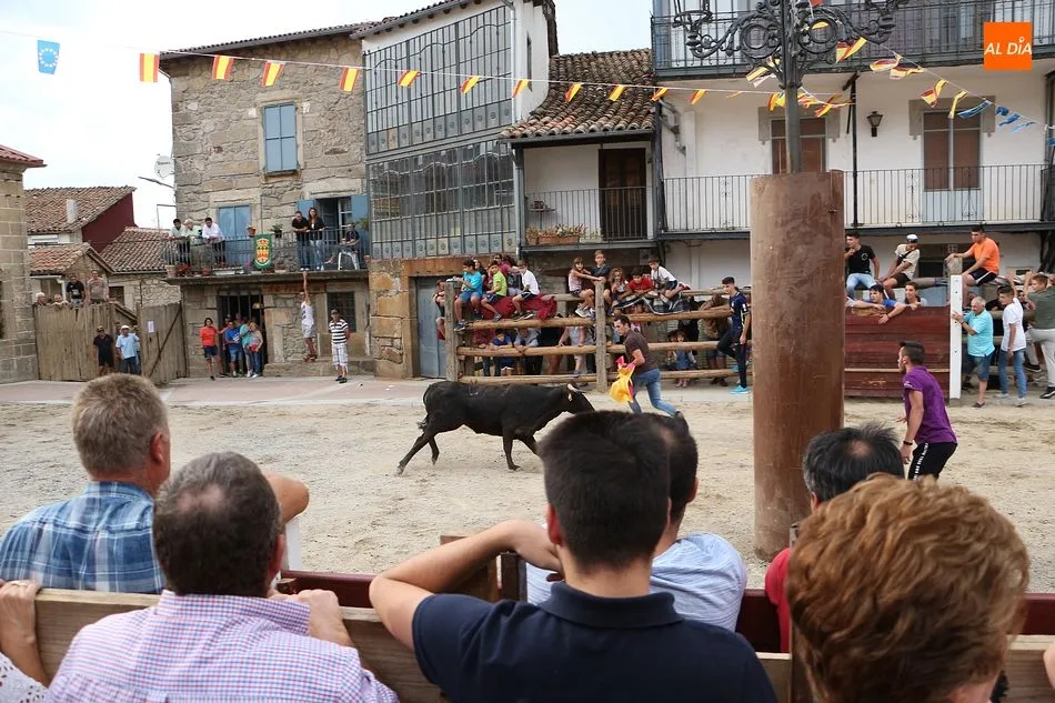 Foto 7 - Las vaquillas caldean el ambiente para el fin de semana