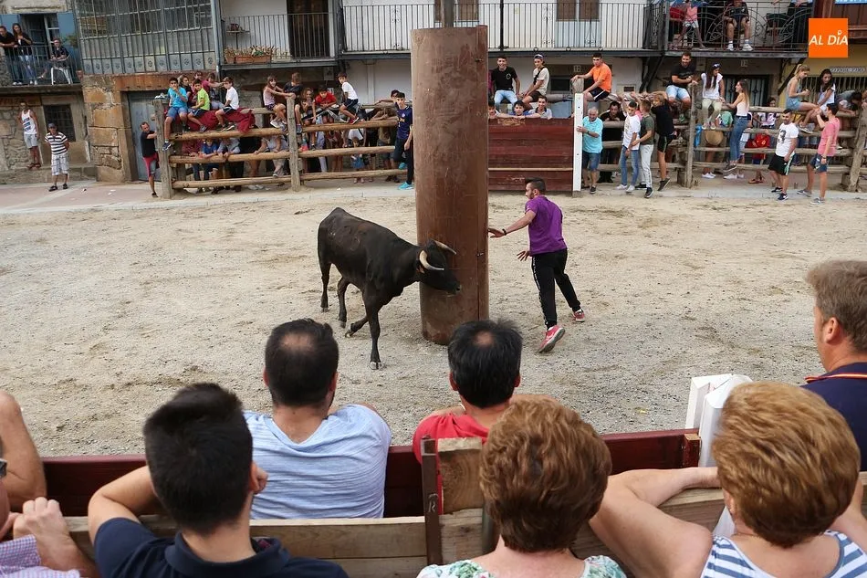 Foto 5 - Las vaquillas caldean el ambiente para el fin de semana