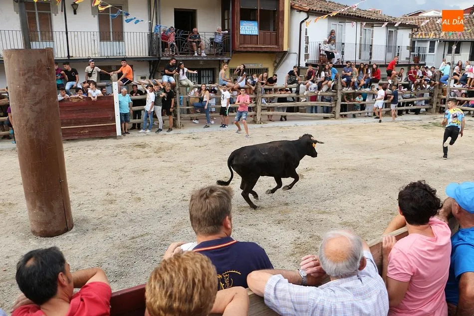 Foto 4 - Las vaquillas caldean el ambiente para el fin de semana