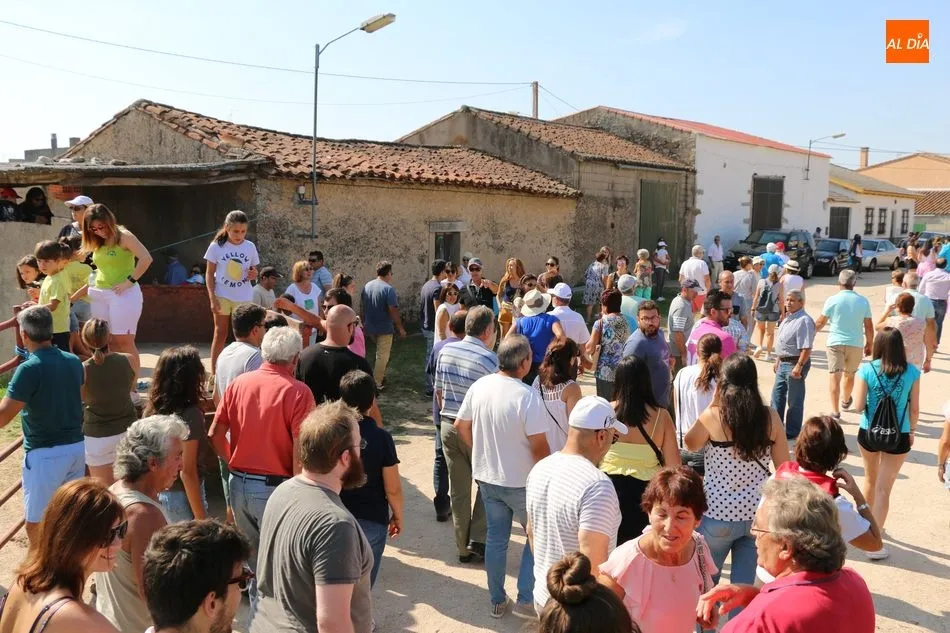 Foto 9 - Bonito encierro a caballo en Ba&ntilde;ob&aacute;rez con erales de Mart&iacute;n Cilleros  