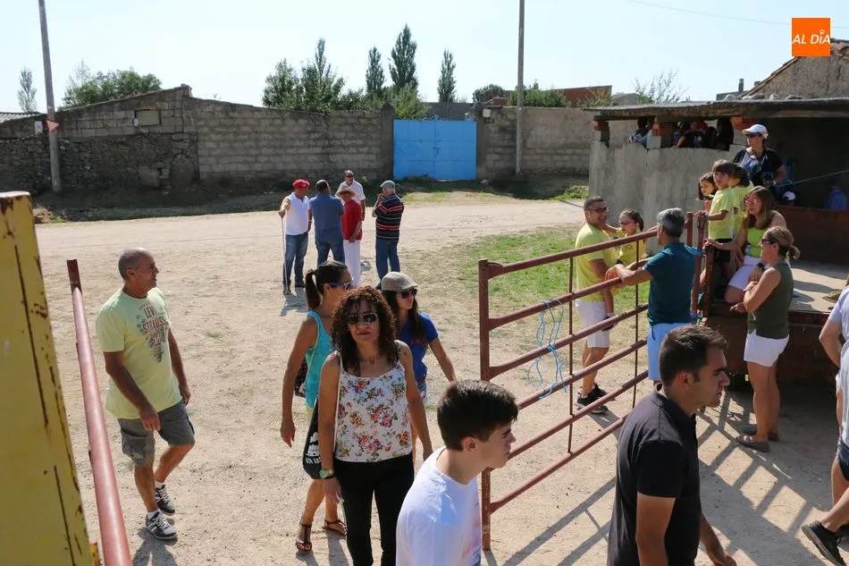 Foto 8 - Bonito encierro a caballo en Ba&ntilde;ob&aacute;rez con erales de Mart&iacute;n Cilleros  