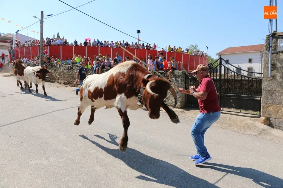 Susto con un cabestro