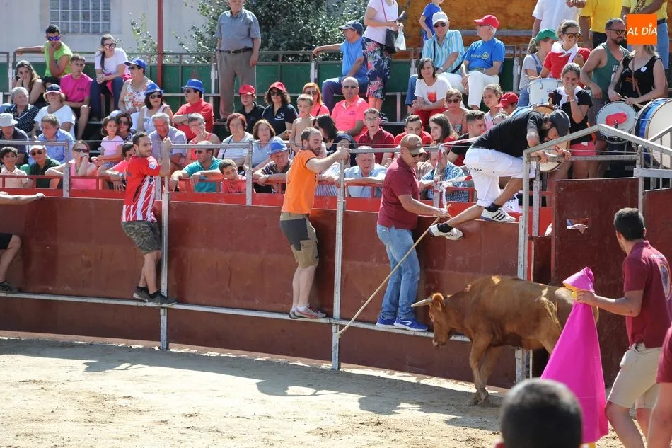 Foto 7 - El encierro de Barruecopardo gana en vistosidad con el nuevo recorrido  
