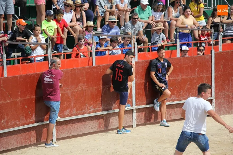 Foto 8 - Emocionante &uacute;ltimo encierro de las fiestas en Barruecopardo  