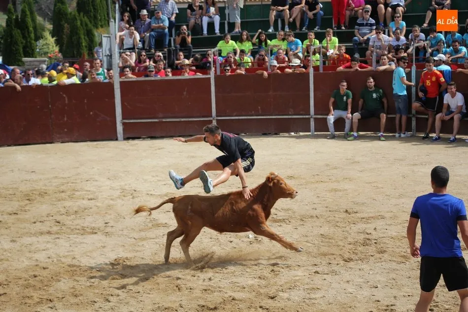 Foto 3 - Emocionante &uacute;ltimo encierro de las fiestas en Barruecopardo  