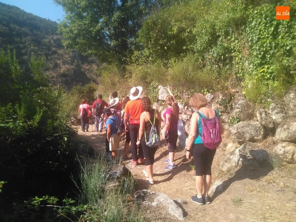 Foto 8 - San Mart&iacute;n del Casta&ntilde;ar acoge el regreso de las actividades de la Ruta del Vino