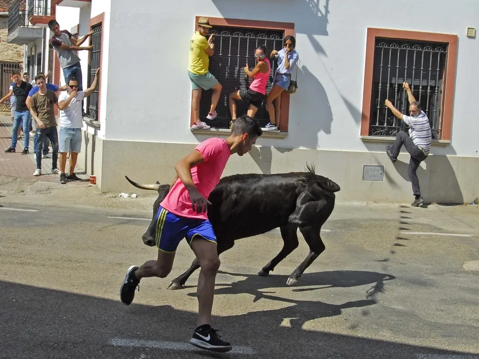 Foto 11 - Un r&aacute;pido encierro a caballo da paso a una animad&iacute;sima suelta de vaquillas en Martiago  