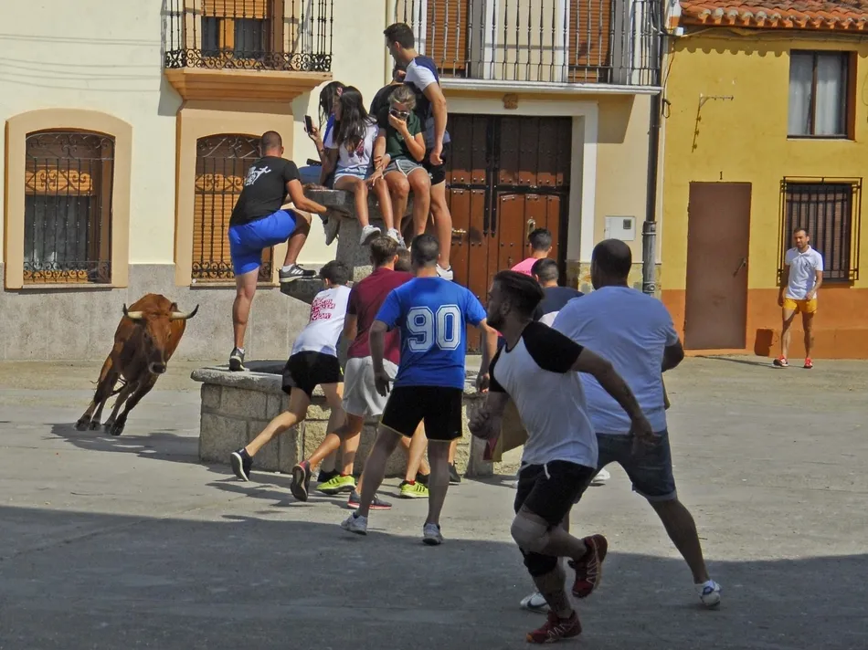 Foto 8 - Un r&aacute;pido encierro a caballo da paso a una animad&iacute;sima suelta de vaquillas en Martiago  
