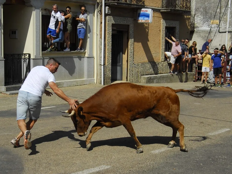 Foto 6 - Un r&aacute;pido encierro a caballo da paso a una animad&iacute;sima suelta de vaquillas en Martiago  
