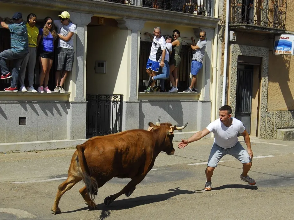 Foto 7 - Un r&aacute;pido encierro a caballo da paso a una animad&iacute;sima suelta de vaquillas en Martiago  