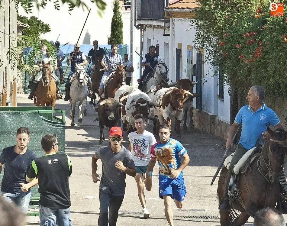 Imágenes del encierro a caballo de la mañana dominical | Fotos Adrián Martín