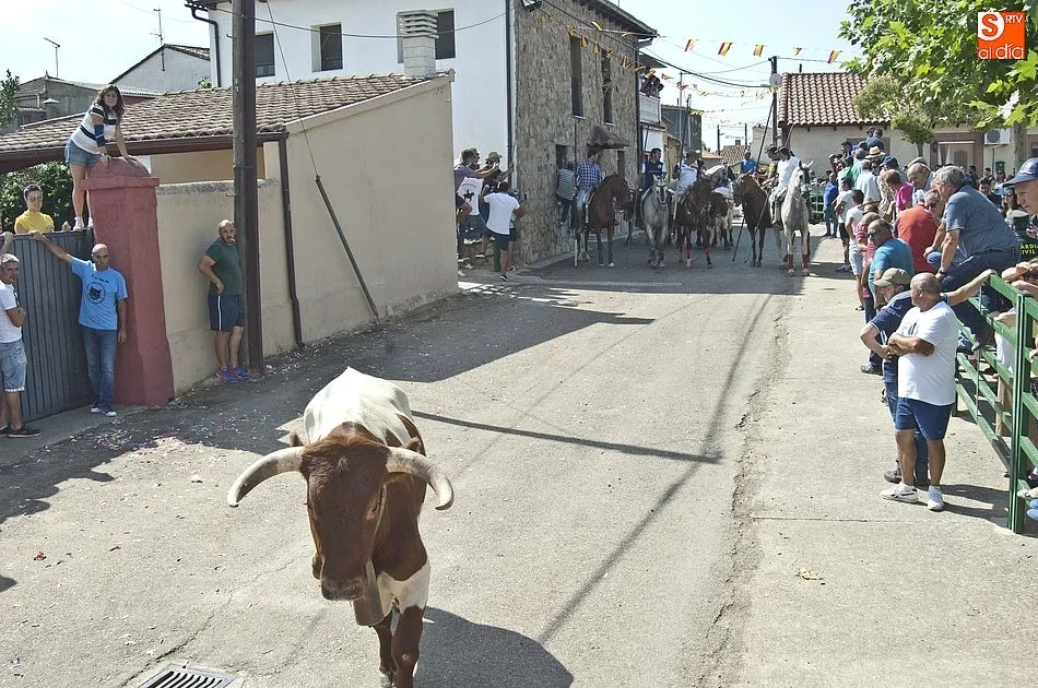 Foto 8 - Aldehuela de Yeltes vibra con sus eventos taurinos  