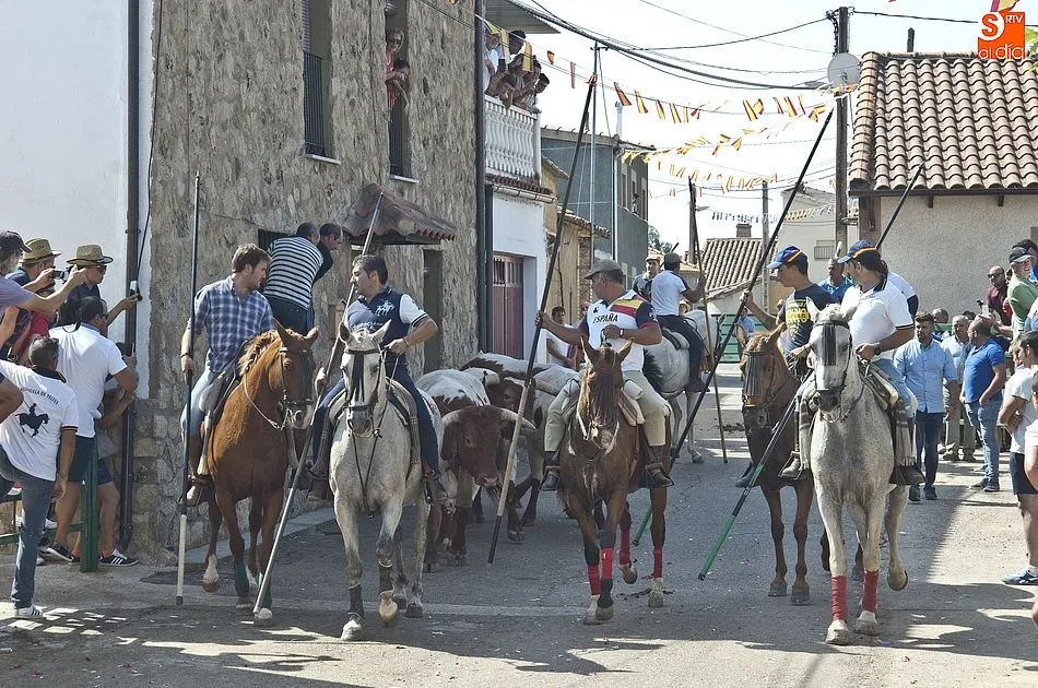Foto 7 - Aldehuela de Yeltes vibra con sus eventos taurinos  
