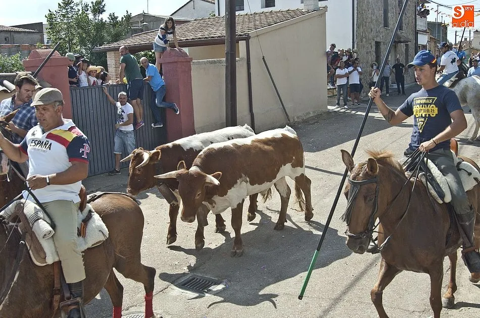 Foto 4 - Aldehuela de Yeltes vibra con sus eventos taurinos  