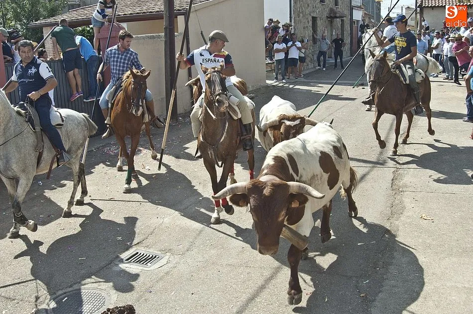 Foto 5 - Aldehuela de Yeltes vibra con sus eventos taurinos  