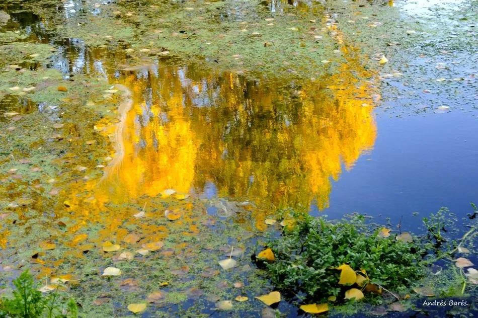 Foto 3 - Un oto&ntilde;o de colores