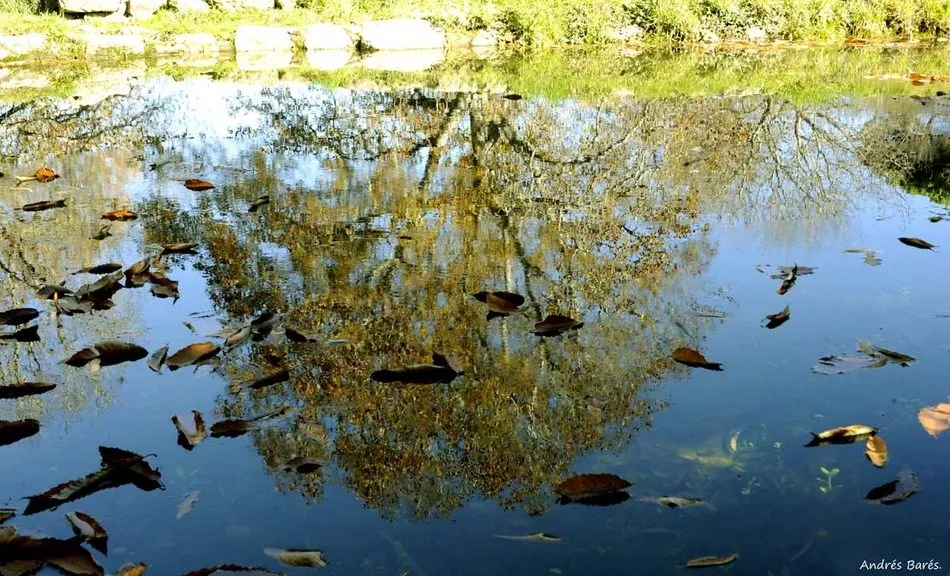 Foto 2 - Un oto&ntilde;o de colores