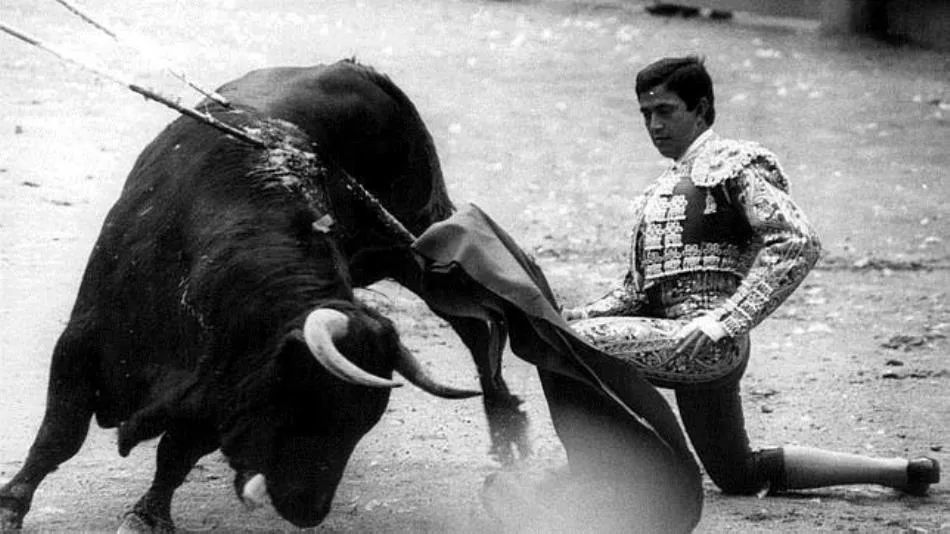 Se marchaba El Niño de la Capea con el sello de primera figura, el respeto de sus compañeros y la admiración del público