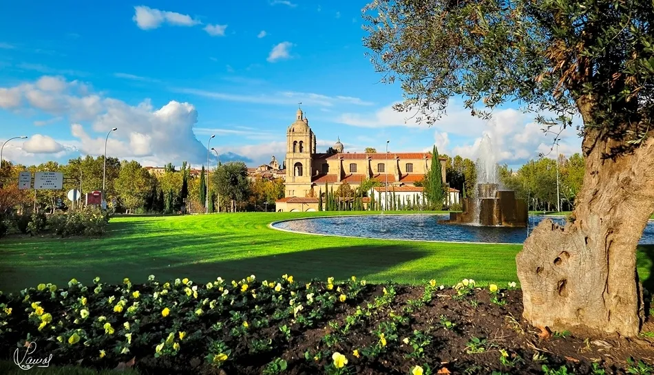 Sinfonía de colores