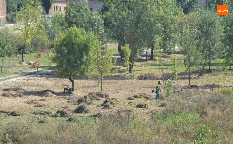 El tramo entre los parkings de La Pesquera y el Puente Mayor se prepara para las crecidas  
