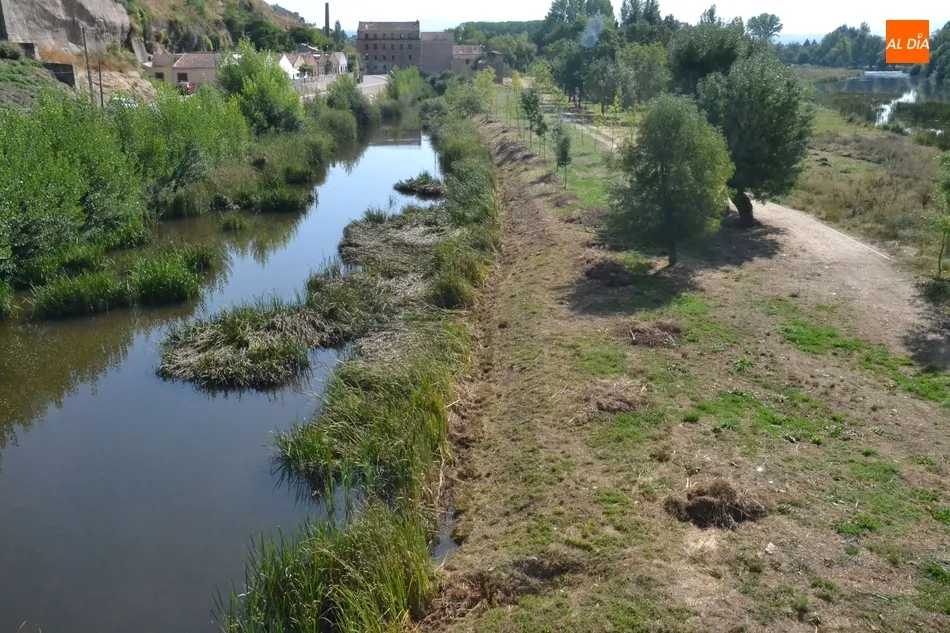 Foto 5 - El tramo entre los parkings de La Pesquera y el Puente Mayor se prepara para las crecidas  