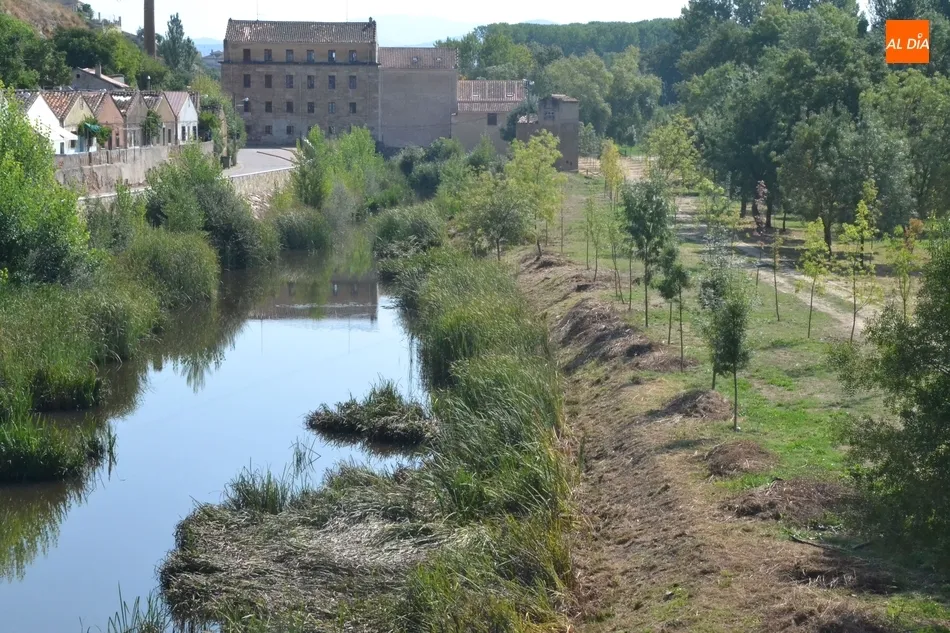 Foto 4 - El tramo entre los parkings de La Pesquera y el Puente Mayor se prepara para las crecidas  
