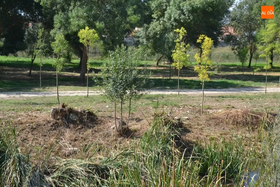 Foto 3 - El tramo entre los parkings de La Pesquera y el Puente Mayor se prepara para las crecidas  
