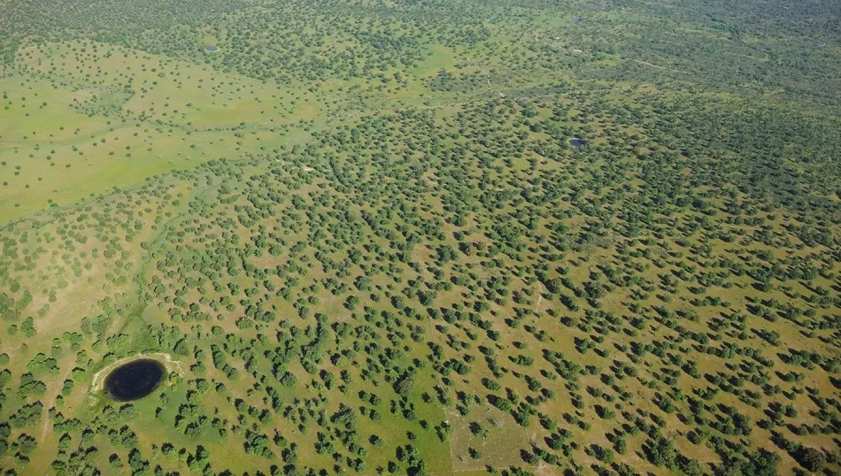 Vista aérea de la Dehesa de Salamanca. Foto @FNYH
