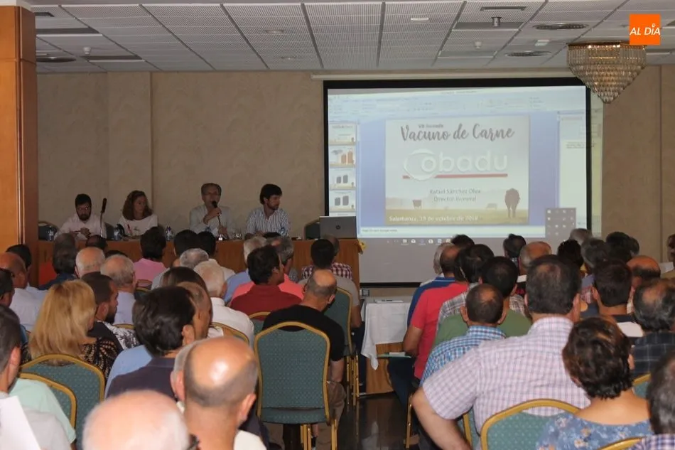 Foto 3 - Cobadu apuesta por &ldquo;mejorar la rentabilidad de las explotaciones de vacas nodrizas&rdquo; a trav&eacute;s...