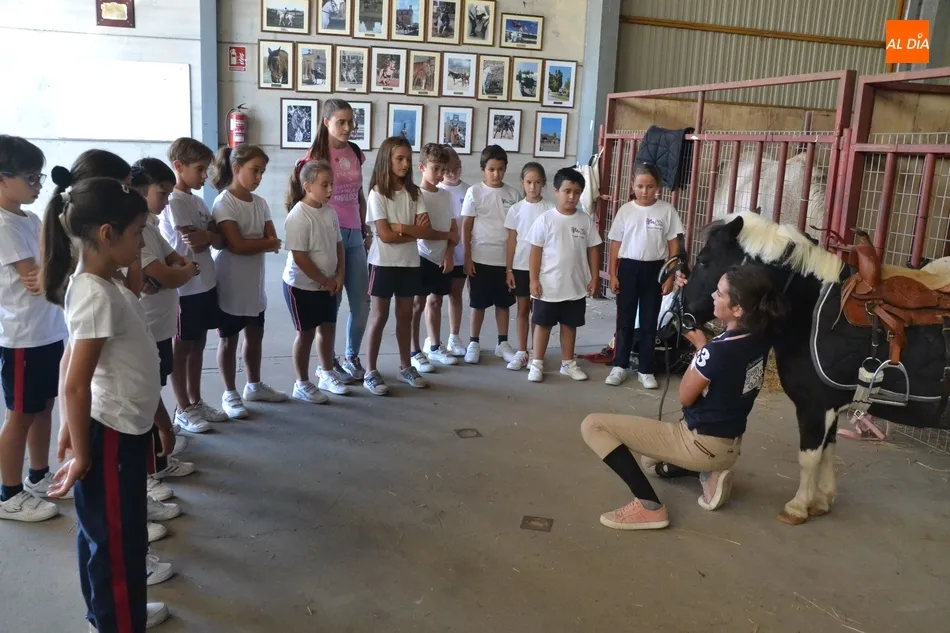 Los escolares se adentran en el mundo ecuestre como apertura de la Feria del Caballo  