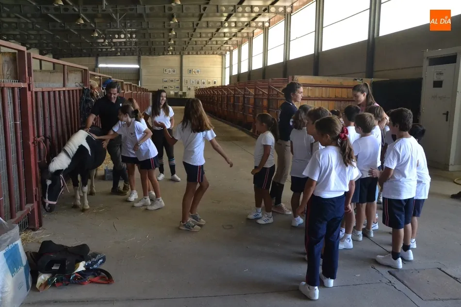 Foto 11 - Los escolares se adentran en el mundo ecuestre como apertura de la Feria del Caballo  