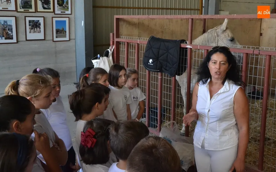 Foto 10 - Los escolares se adentran en el mundo ecuestre como apertura de la Feria del Caballo  