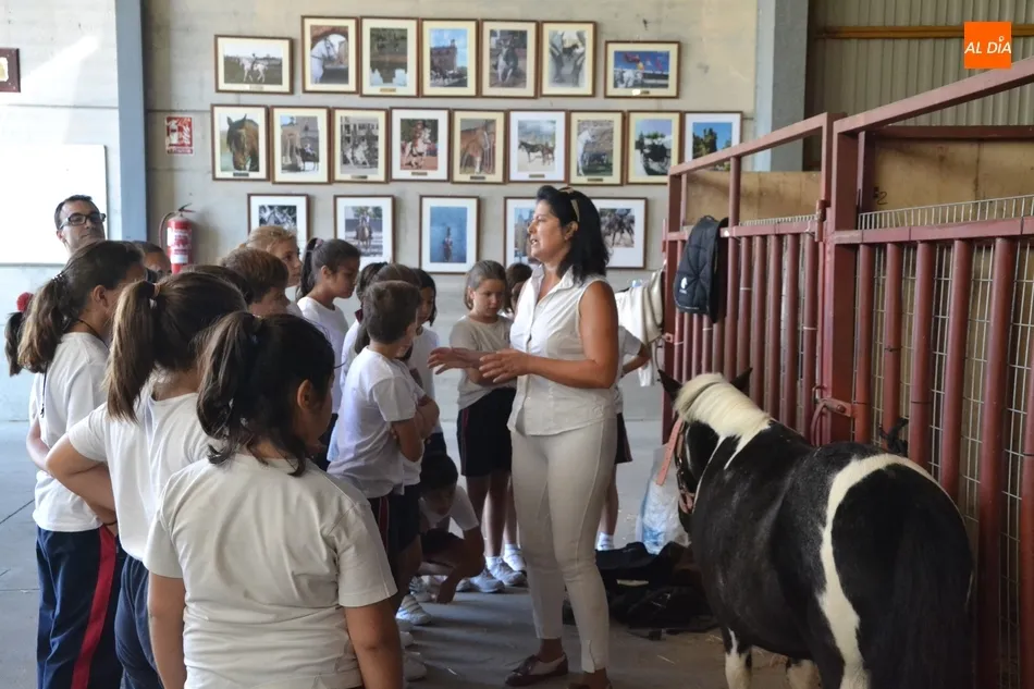 Foto 9 - Los escolares se adentran en el mundo ecuestre como apertura de la Feria del Caballo  
