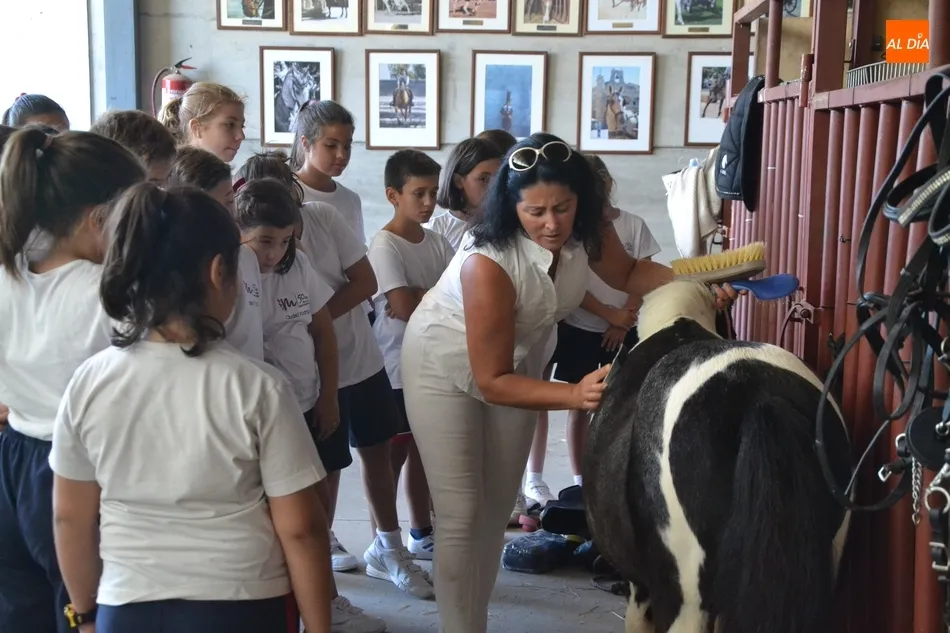 Foto 7 - Los escolares se adentran en el mundo ecuestre como apertura de la Feria del Caballo  