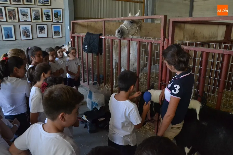 Foto 6 - Los escolares se adentran en el mundo ecuestre como apertura de la Feria del Caballo  