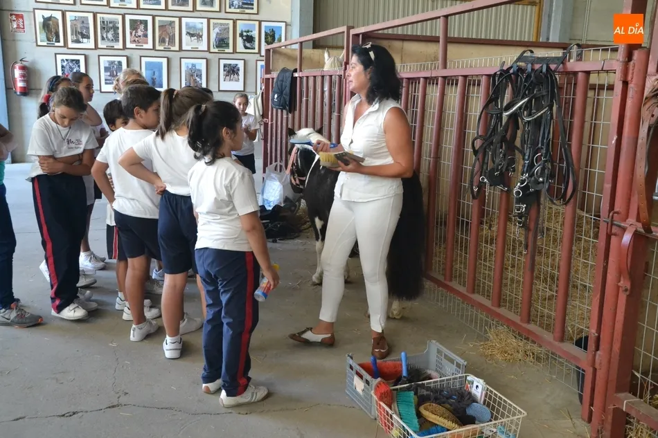 Foto 8 - Los escolares se adentran en el mundo ecuestre como apertura de la Feria del Caballo  