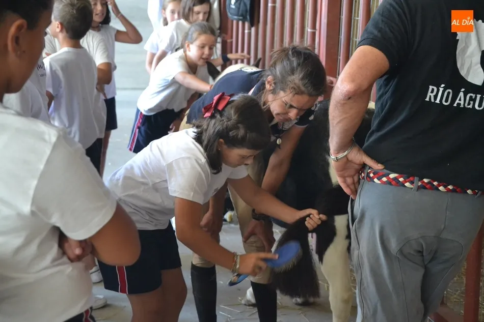 Foto 4 - Los escolares se adentran en el mundo ecuestre como apertura de la Feria del Caballo  