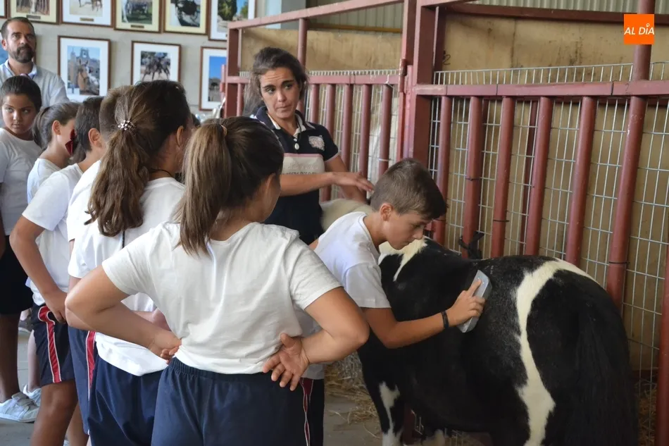 Foto 3 - Los escolares se adentran en el mundo ecuestre como apertura de la Feria del Caballo  