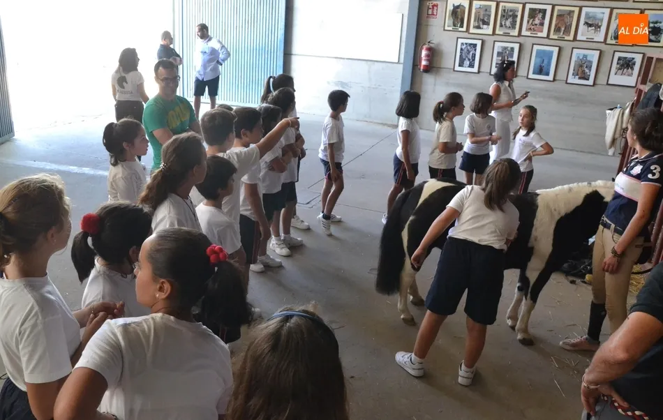 Foto 2 - Los escolares se adentran en el mundo ecuestre como apertura de la Feria del Caballo  