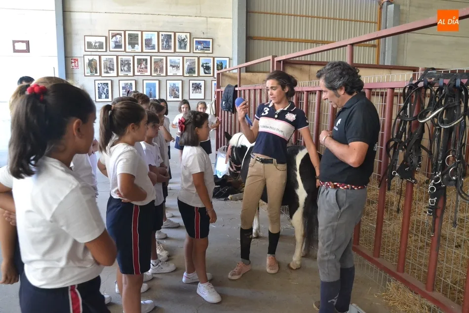 Foto 5 - Los escolares se adentran en el mundo ecuestre como apertura de la Feria del Caballo  