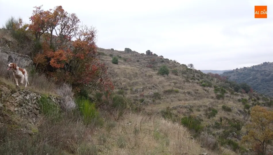La caza implica esfuerzo físico y una simbiosis con la naturaleza muy por encima de cualquier otra actividad