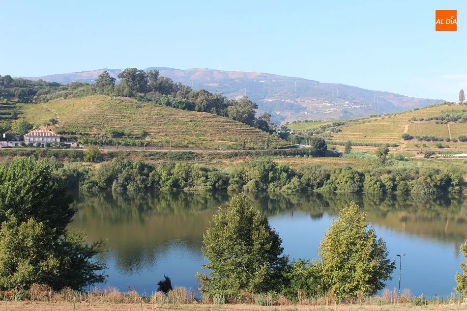 Foto 6 - La uni&oacute;n de Oporto y&nbsp;Salamanca&nbsp;a trav&eacute;s de la v&iacute;a f&eacute;rrea del Duero, definida por expertos...