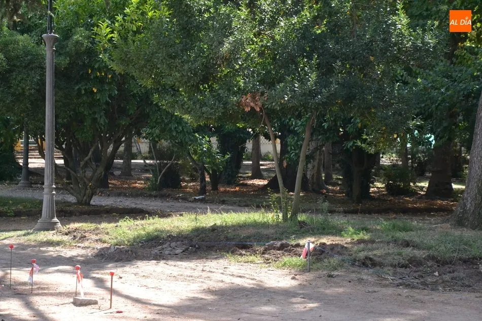 Foto 5 - Retirados los arbustos del Parque de La Florida  