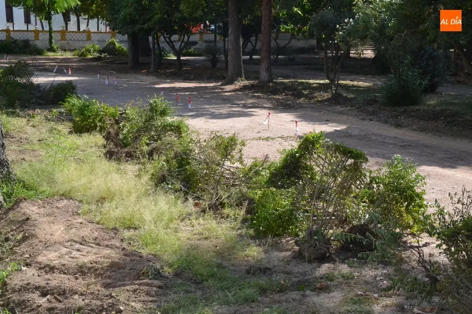 Foto 3 - Retirados los arbustos del Parque de La Florida  
