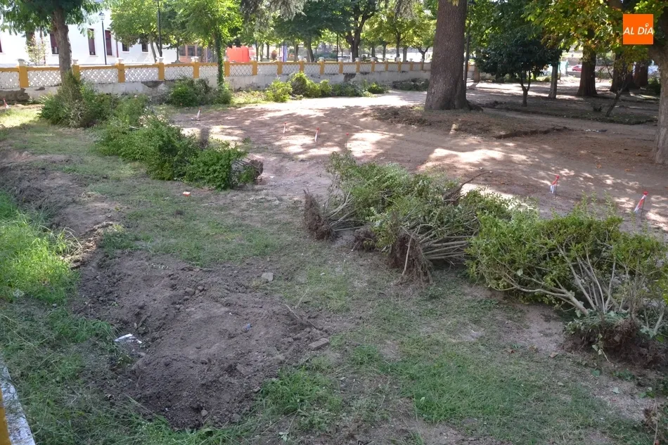 Retirados los arbustos del Parque de La Florida  