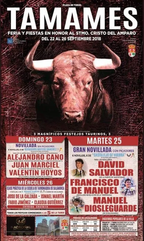 Foto 3 - Unos festejos muy taurinos se inician ma&ntilde;ana con la inauguraci&oacute;n de pe&ntilde;as