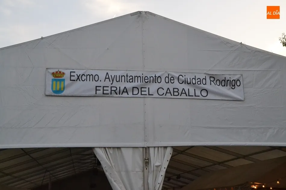 Foto 10 - Todo a punto en el Pol&iacute;gono de Los Chabarcones para la Feria del Caballo  