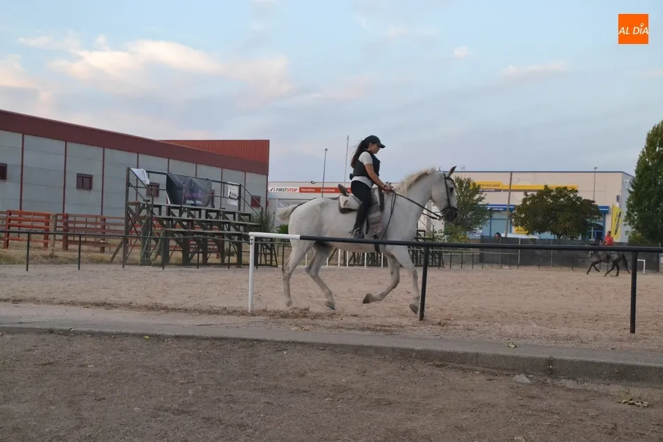Foto 4 - Todo a punto en el Pol&iacute;gono de Los Chabarcones para la Feria del Caballo  