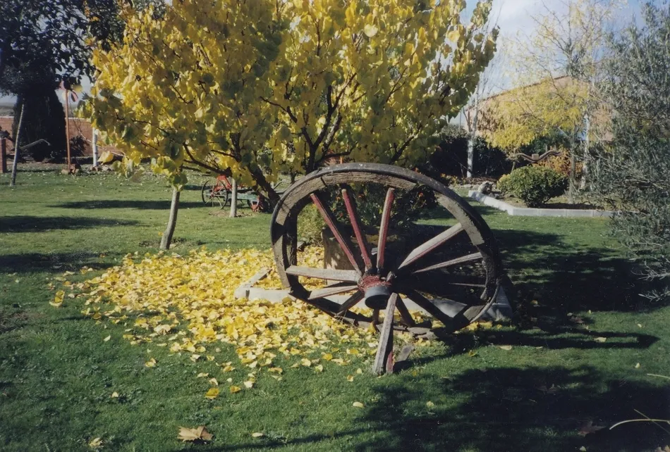 Foto 2 - Oto&ntilde;o