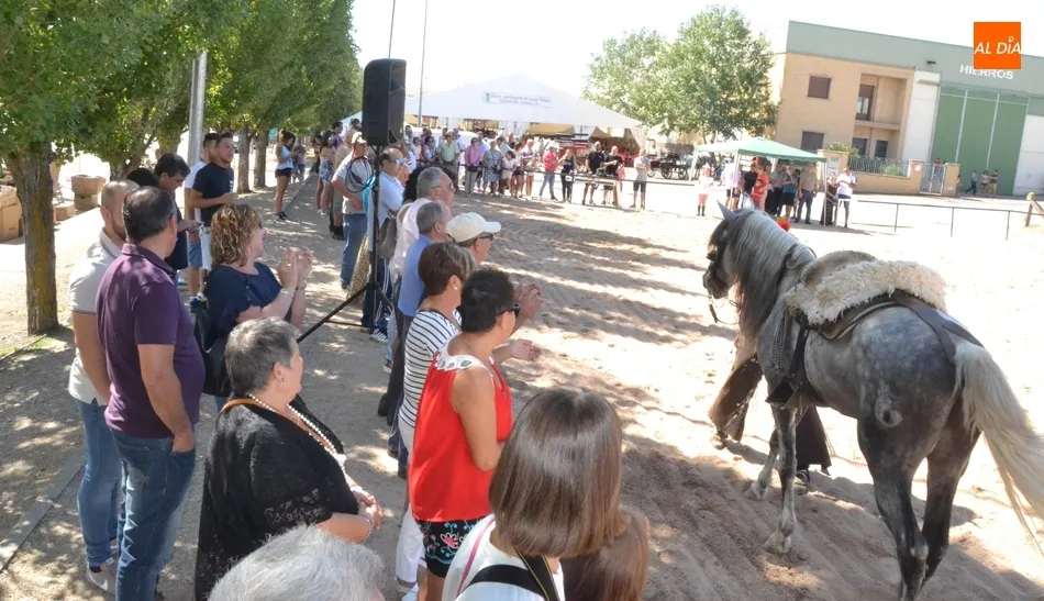 Foto 10 - La Faraona conquista al p&uacute;blico mirobrigense con sus bailes encima del caballo  